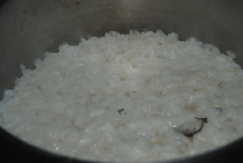 arroz