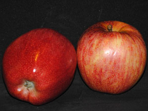 manzanas