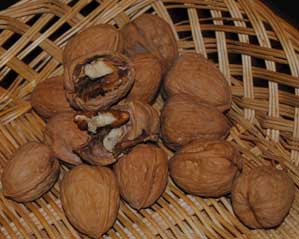 nueces